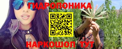Альфа ПВП Новодвинск