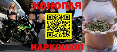 Альфа ПВП Новодвинск