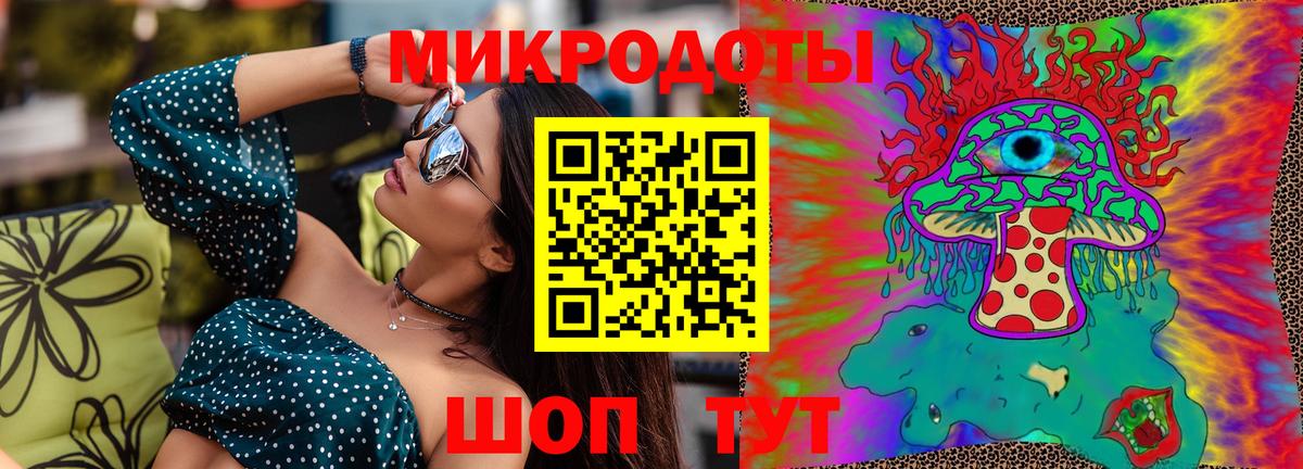 Псилоцибиновые грибы Psilocybine cubensis Тверь