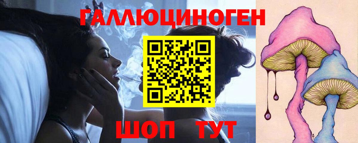 Псилоцибиновые грибы Cubensis  где найти   Тверь  Вход с VPN 